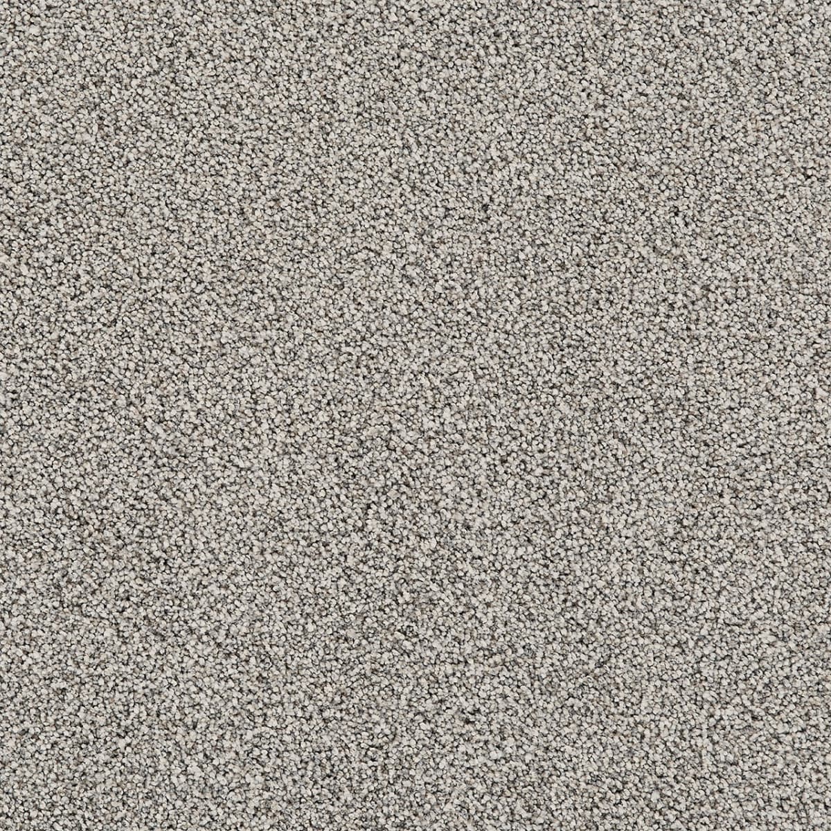 multitonal carpet on sale