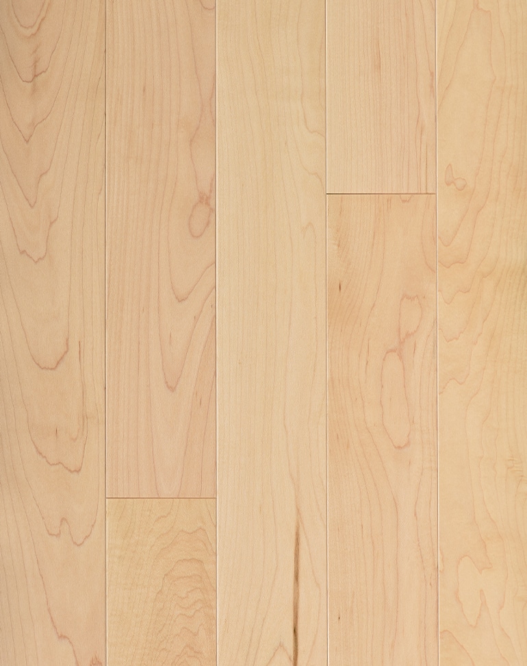Maple Natural Engineered Hardwood on Sale