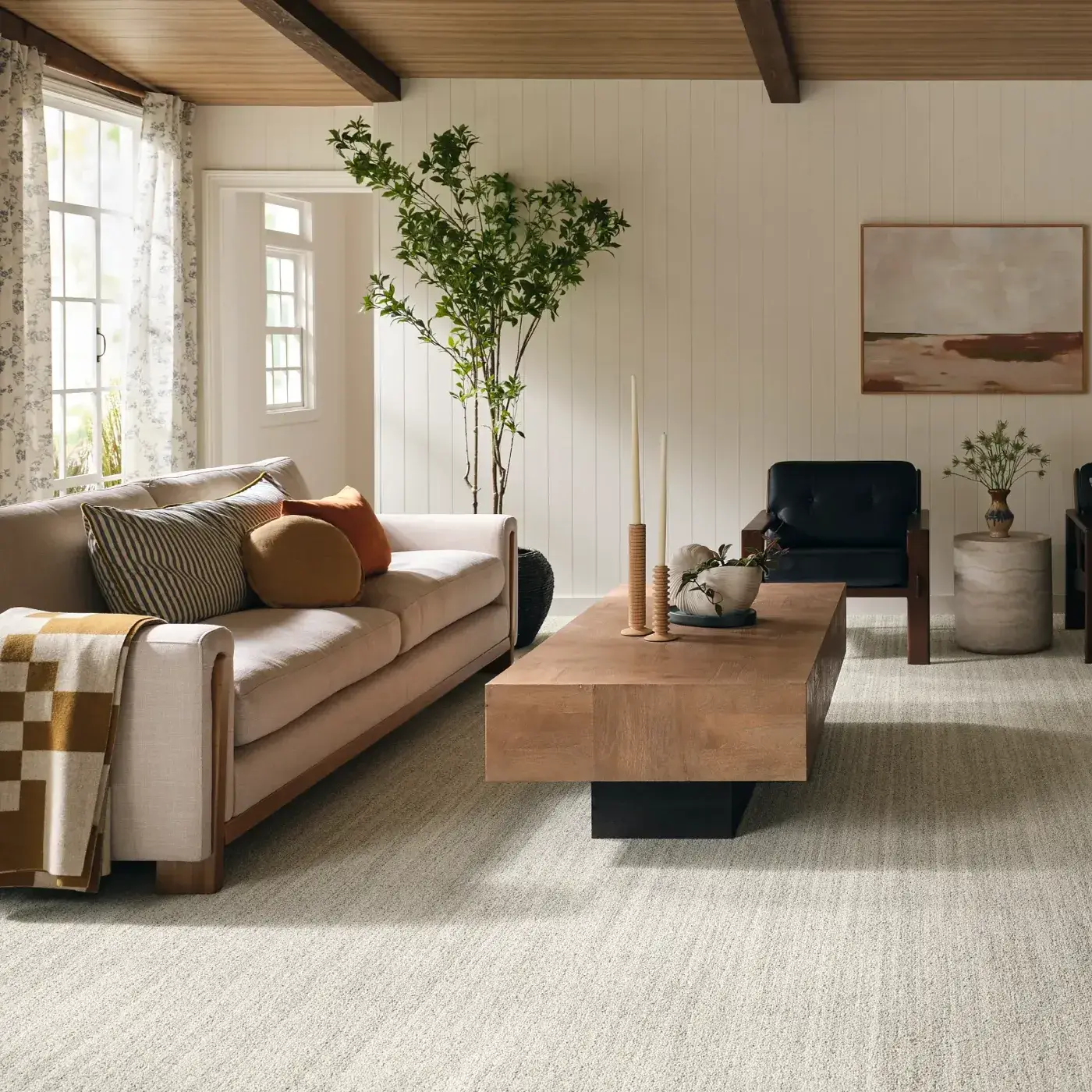 Family room high traffic durable budget friendly carpet